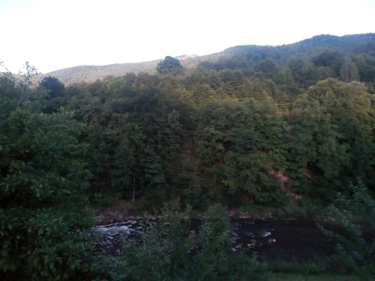 Borgaza Hotel Yaremche Bagian luar foto