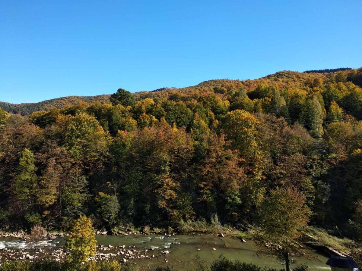 Borgaza Hotel Yaremche Bagian luar foto