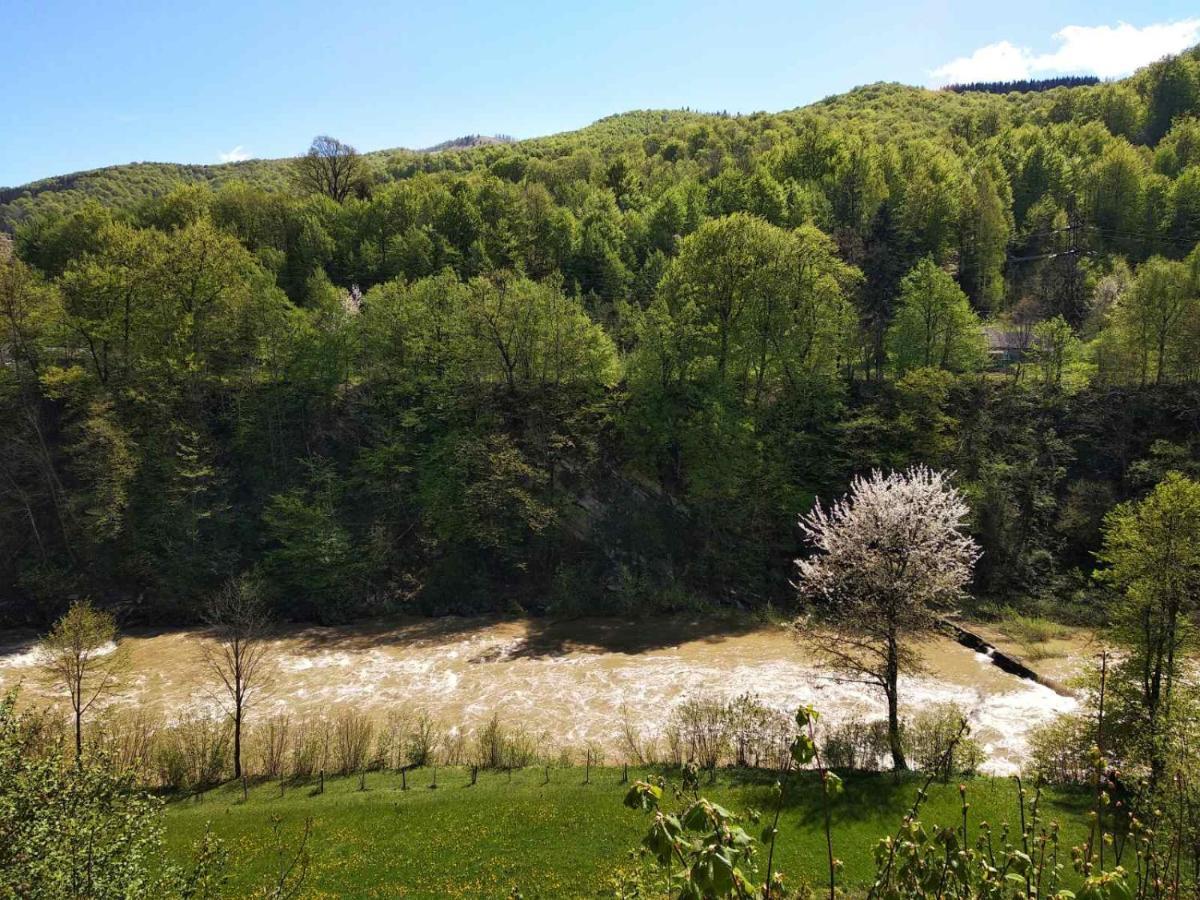 Borgaza Hotel Yaremche Bagian luar foto